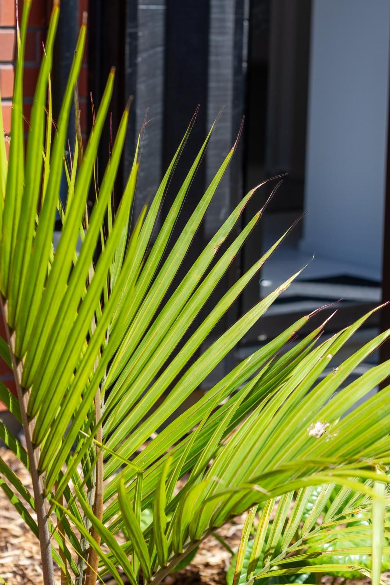 Ferienwohnung Conveniently Located 2Br Townhouse In West Akl Auckland Exterior foto